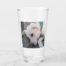 Search for hungover mugs Irish
