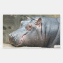 Search for hippopotamus stickers Animals