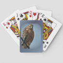 Search for red shouldered hawk Nature
