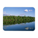 Search for amazons magnets Reflection