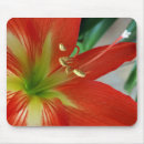 Search for clear mousepads White