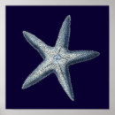 Search for sea shell art posters Indigo