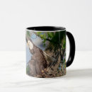 Search for bald eagles mugs Birds of prey