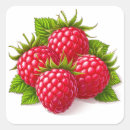Search for ripe stickers Berries
