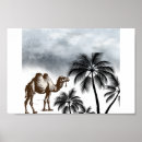 Search for camel photography Desert