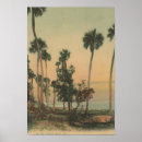 Search for shoreline Florida