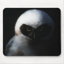 Search for chick electronics Bird