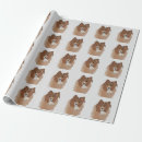 Search for sheltie wrapping paper Dog lover