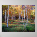 Search for autumn in the park posters Colourful