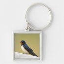 Search for selective key rings Bird