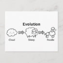 Search for funny sheep postcards Humour