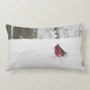 Search for cardinal cushions Snow