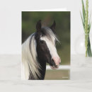 Search for vanner cards Black and white