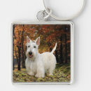 Search for scottish terrier key rings Pets