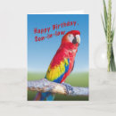 Search for macaw birthday cards Feathers