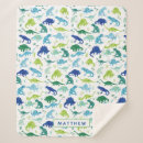 Search for green dinosaur blankets Boys