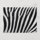 Search for black and white zebra postcards Stripes