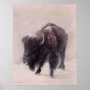 Search for bovine posters Buffalo