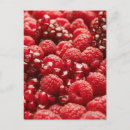 Search for nutritious Photography