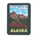 Search for fireweed magnets Yukon