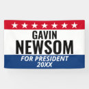 Search for for gavin Political