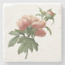 Search for botanical coasters Pink