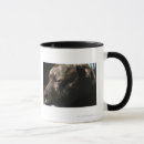 Search for eyes closed mugs Purebred dog