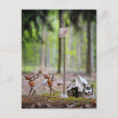 Search for summer camp postcards Funny