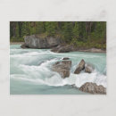 Search for yoho postcards Canadian