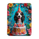 Search for cake magnets Colourful