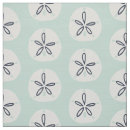 Search for sand dollar Coastal