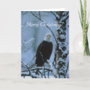 Search for bald eagle christmas cards Bird