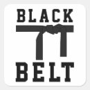 Search for belts stickers Judo