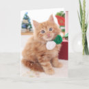 Search for maine coon cat christmas cards Cute