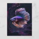 Search for beautiful abstract postcards Colourful