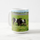 Search for galloway mugs Cows