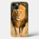 Search for lion predator electronics Wildlife