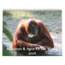 Search for ape monkey Monkeys