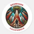 Search for redwood trees stickers Forest