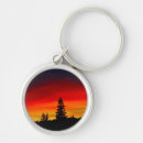 Search for idyllic accessories No people