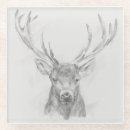 Search for sketched coasters Animal