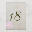 Search for 4x6 table cards Vintage