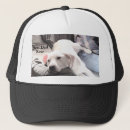 Search for sweet dog hats Funny