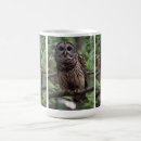 Search for barred owl mugs Wildlife