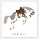 Search for pintos stickers Pony