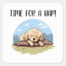 Search for cute poodle stickers Cartoon