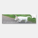 Search for german shepherd bumper stickers Puppy