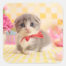 Search for cute camera stickers Looking at camera