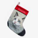 Search for christmas stockings Cat