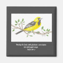 Search for oriole magnets Bird